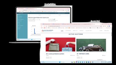 A second white-label auction site with a completely different look